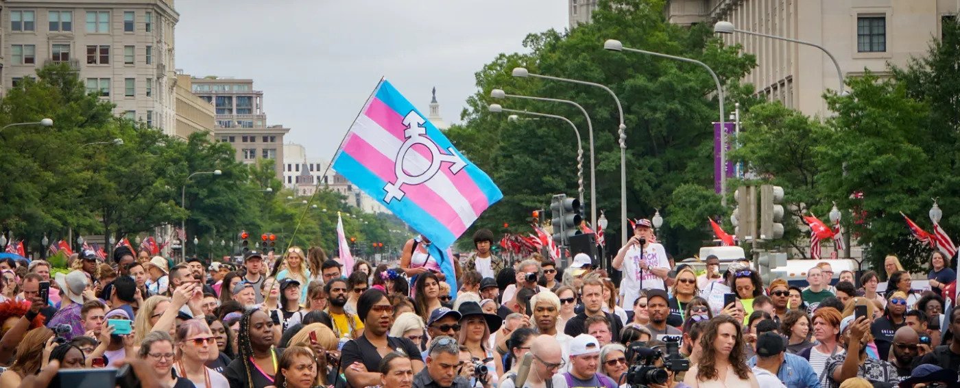 An image from the National Trans Visibility March in Washington, DC in 2019. Photo credit: Ted Eytan
