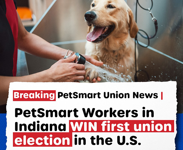 Service & Solidarity Spotlight: Indiana PetSmart Workers Win First Union for Chain in the U.S.