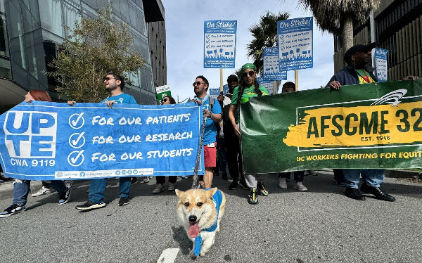 UPTE-CWA and AFSCME members march together with a corgi dog leading the way.